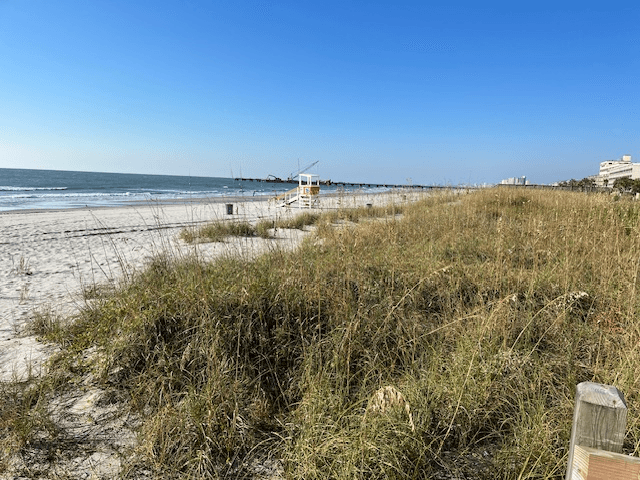 North Myrtle Beach House: 305 22nd Ave North