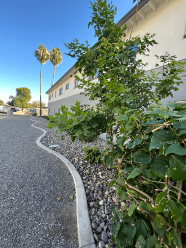 Phoenix Other: 813 E Marlette Ave #9