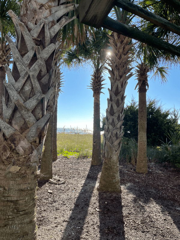 North Myrtle Beach House: 305 22nd Ave North