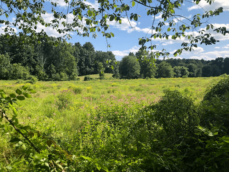chelmsford Condo: 101 Boston Rd