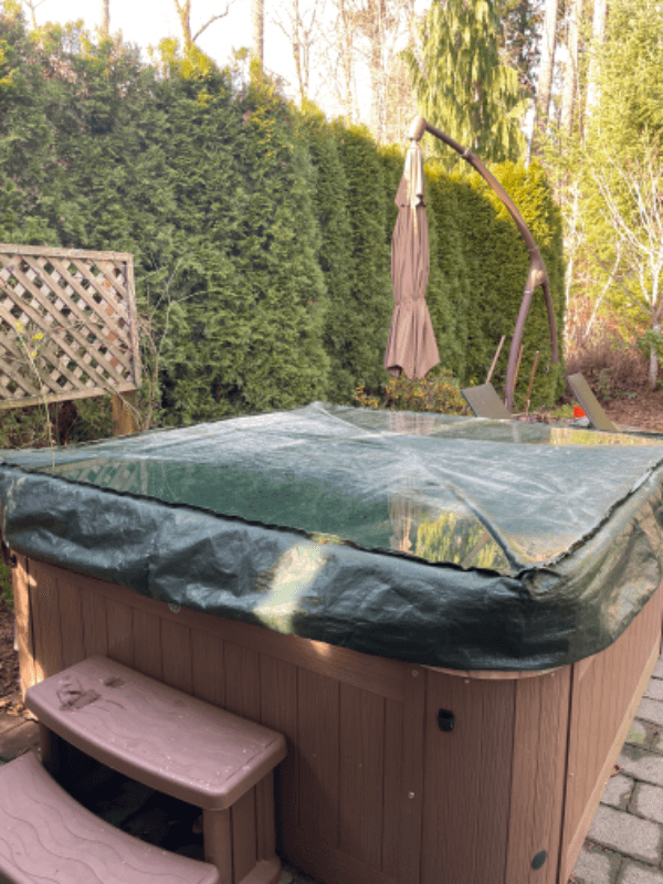 Redmond House: 23124 NE 123rd ST