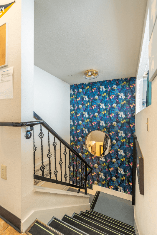 Berkeley Multiplex: 2221 Dwight Way