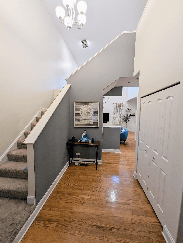 Itasca Townhome: 394 E Tall Oaks Ln