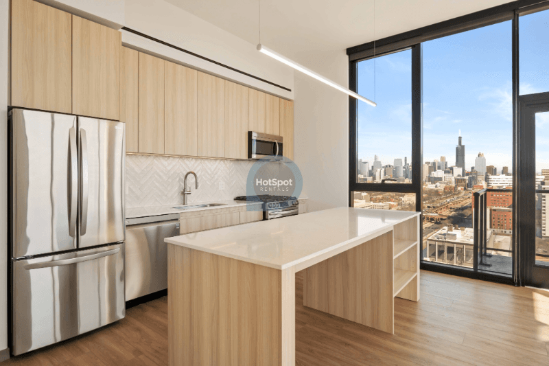 Chicago Condo: 533 S Damen Ave