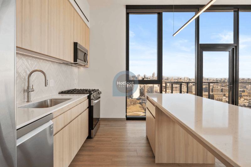 Chicago Condo: 533 S Damen Ave