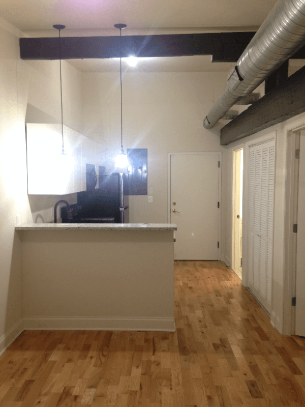 Baltimore Apartment: 124 E Trenton St