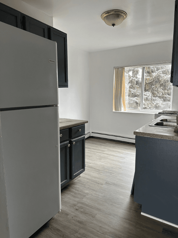 Mount Prospect Apartment: 309 West Hawthorne Circle