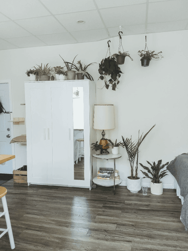Philadelphia Apartment: 425 S 15th St #3R