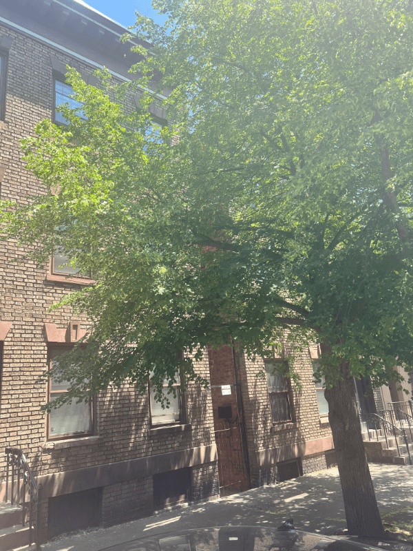 Albany Apartment: 371 Hudson Ave