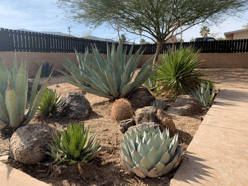 Twentynine Palms House: 71590 Juanita Dr