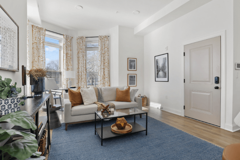 Baltimore Apartment: 2201 Brookfield Ave