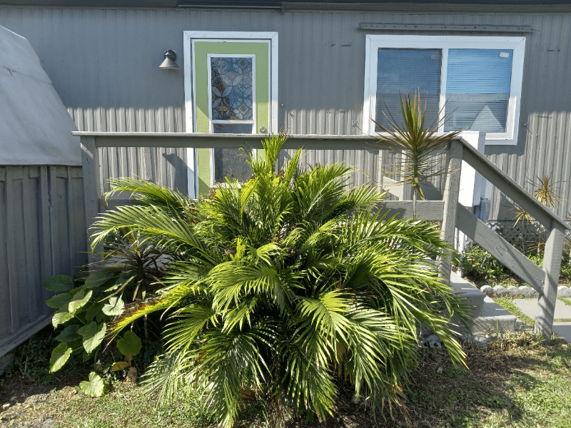 West Palm Beach Other: 4163 74th Street North