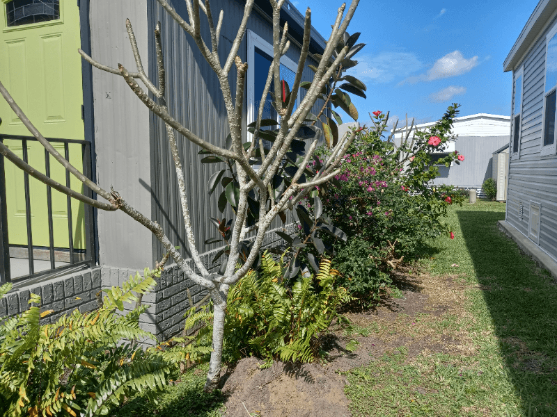 West Palm Beach Other: 4163 74th Street North