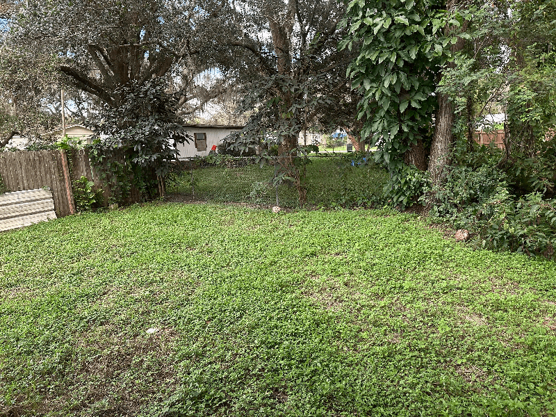 Tampa House: 12513 Four oaks rd