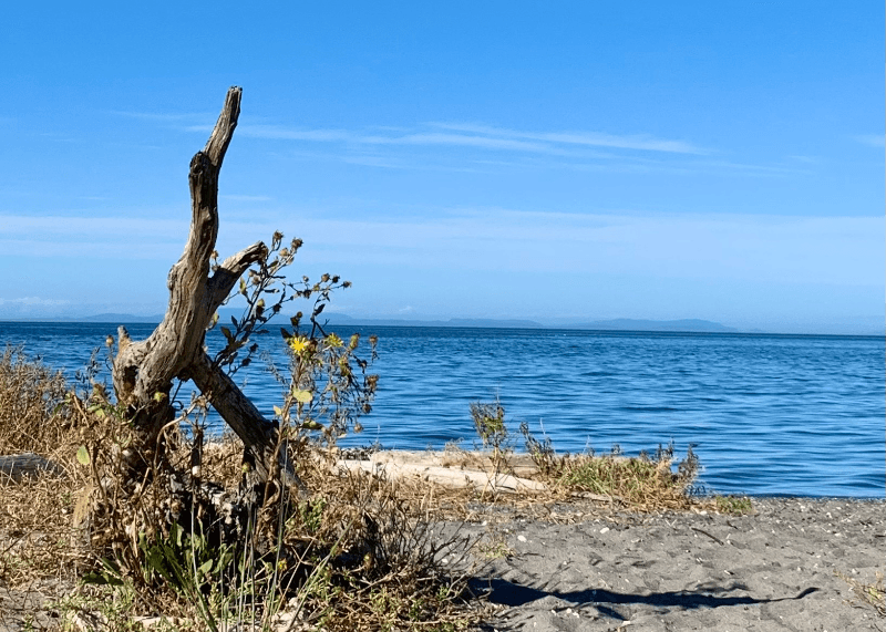 Sequim Condo: 107 Fairway Dr