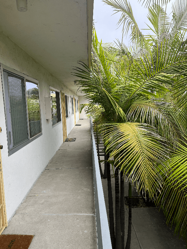 San Diego Apartment: 3911 Oregon St