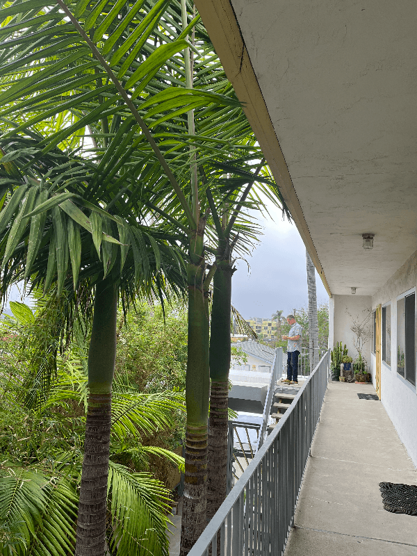San Diego Apartment: 3911 Oregon St