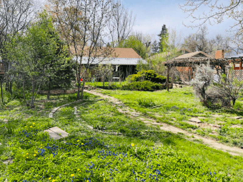 Fort Collins House: 322 Scott Avenue