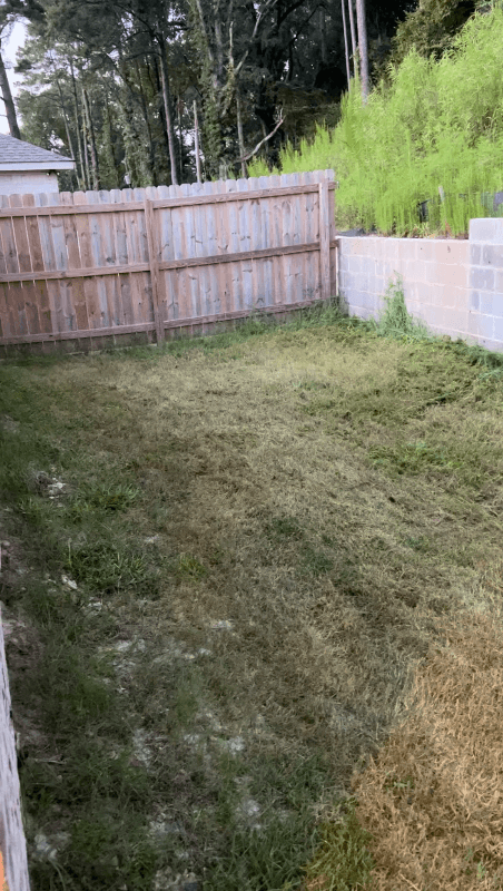 Pearl House: 244 Skylane Dr