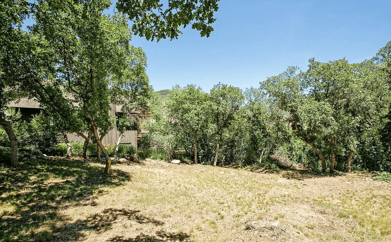 Glenwood Springs House: 902 Red Mountain Drive