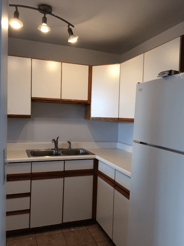 Chicago Condo: 2901 S Michigan