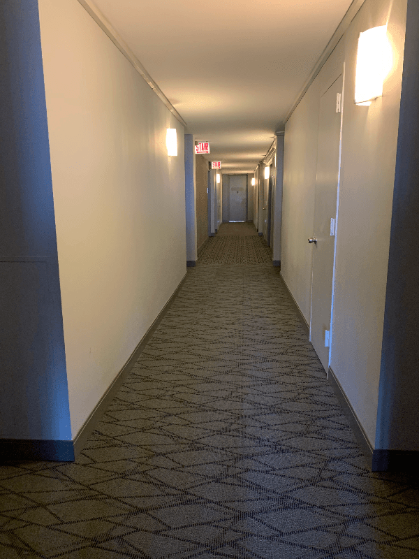 Chicago Condo: 2901 S Michigan