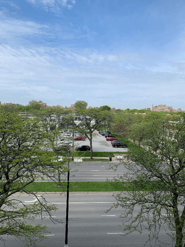 Chicago Condo: 2901 S Michigan