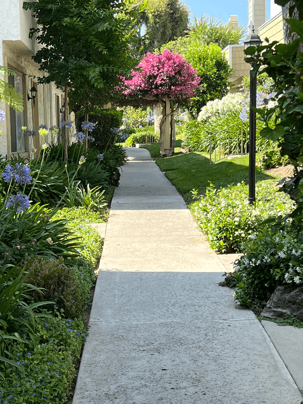 Tarzana House: 18408 Hatteras Street