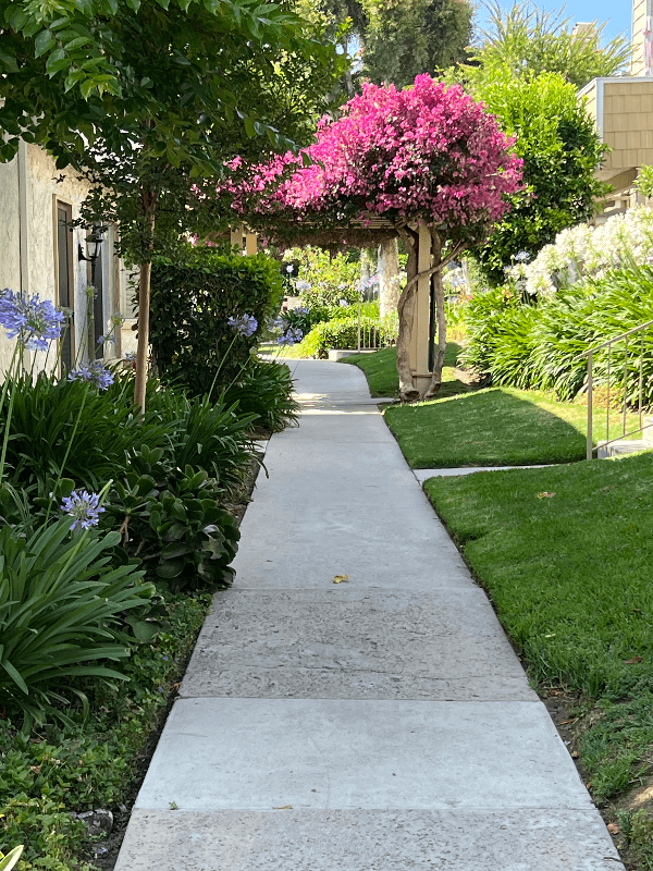 Tarzana House: 18408 Hatteras Street