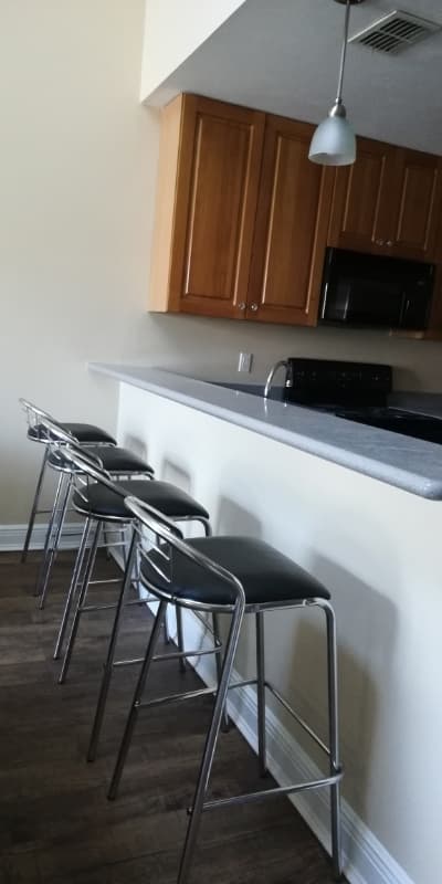 Tallahassee Townhome: 3244 Sugar Berry Way