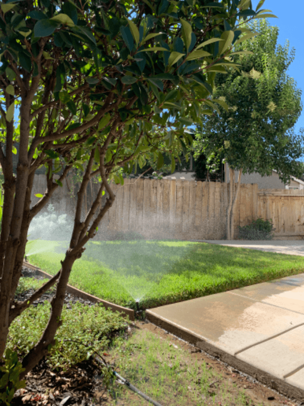 Merced House: 2626 Capella Drive