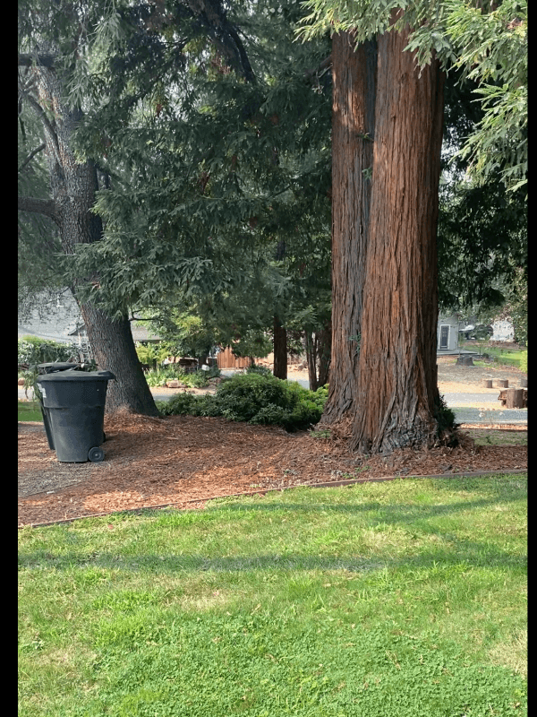 Fair Oaks Single Room: 4059 Ridge St