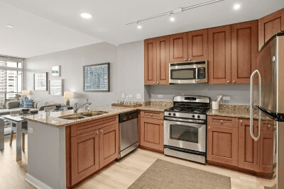 Chicago Apartment: 759 South Clark