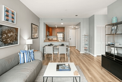 Chicago Apartment: 759 South Clark