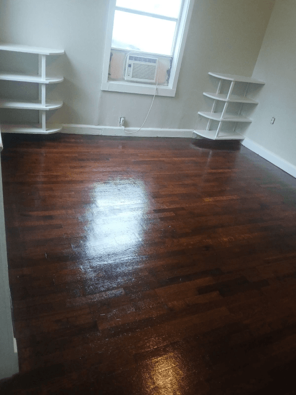 Alexandria Apartment: 67 Eastwood St.