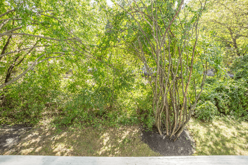 Ellicott City Condo: 8358 Montgomery Run Road