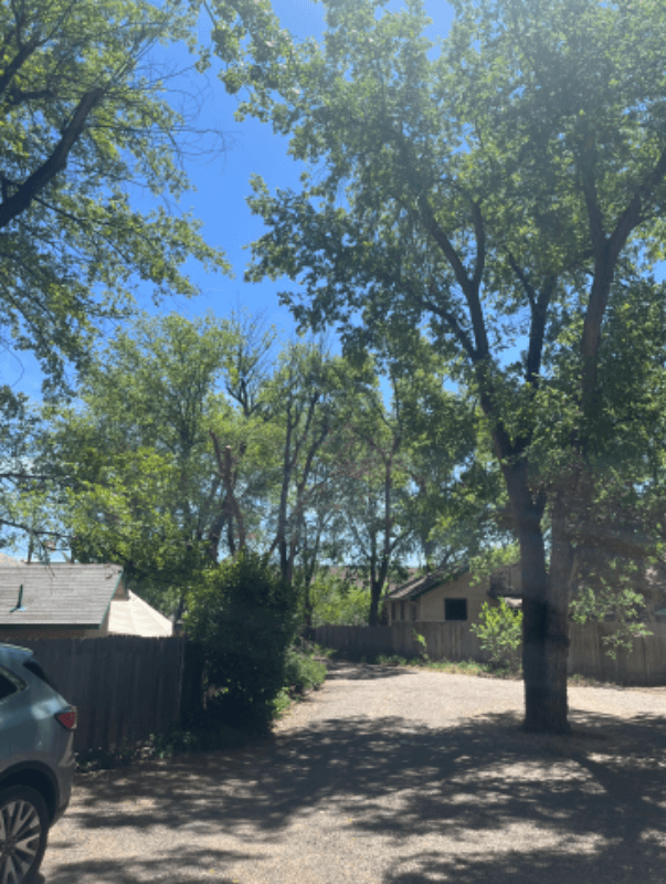 Prescott Multiplex: 878 Valley Street
