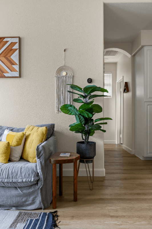 Encinitas Townhome: 662 Sweet Pea Pl