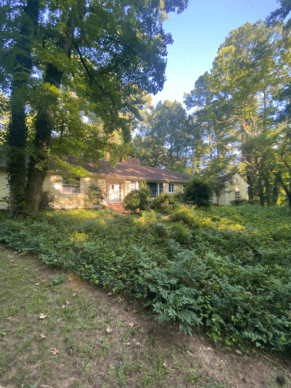 Chapel Hill House: 917 Greenwood Rd