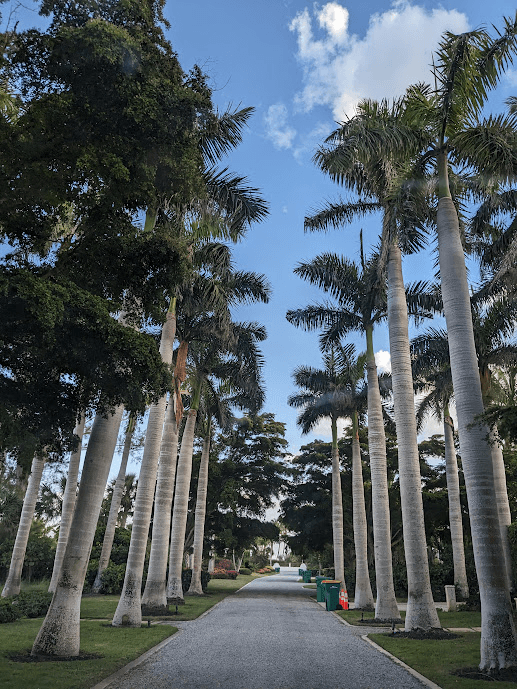Placida House: 8 Windward Terrace