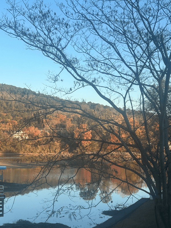Hot Springs Condo: 112 MCcurry Terrace