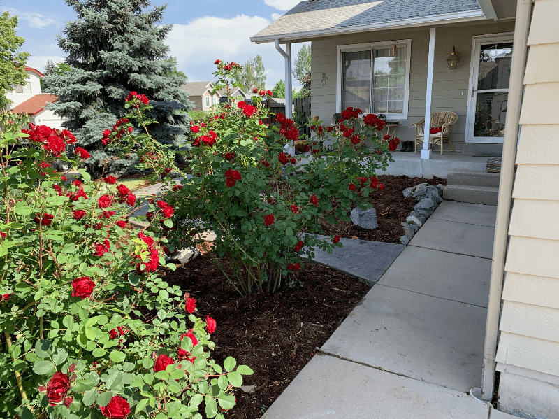 Broomfield House: 3786 Shefield Dr
