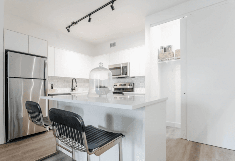 Chicago Condo: 862 N Wabash Ave