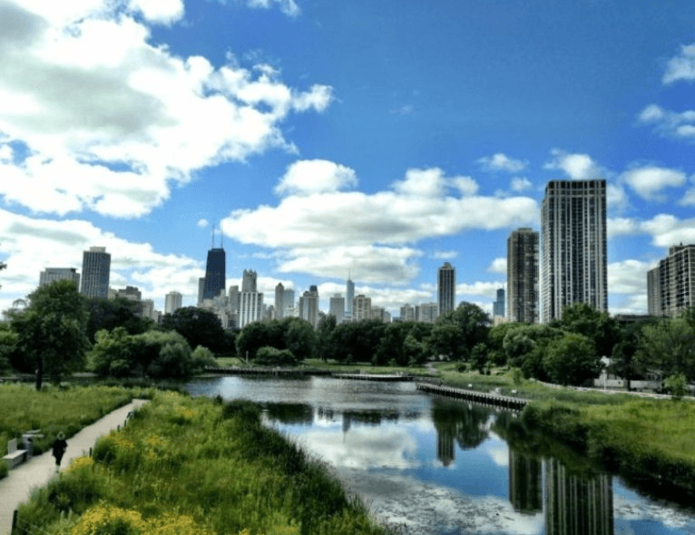 Chicago Apartment: 2930 N Commonwealth