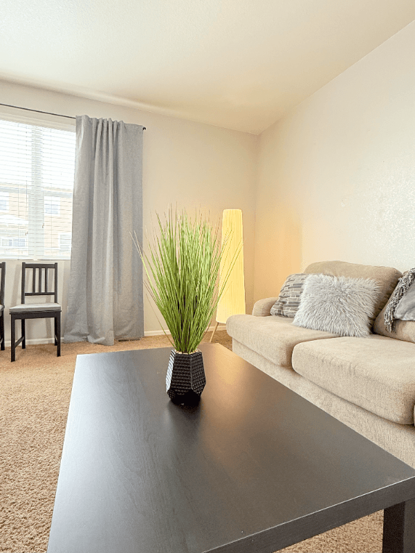 Wellington Single Room: 3634 Daylily St.