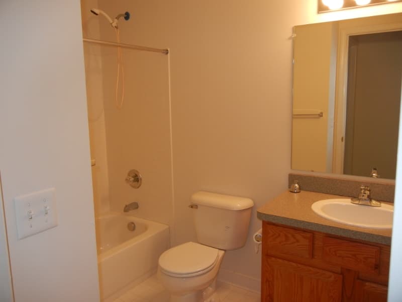 Northville Condo: 16803 Dover Dr