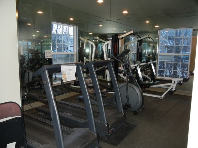 Northville Condo: 16803 Dover Dr