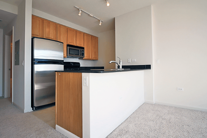 Chicago Condo: 545 W Kinzie St
