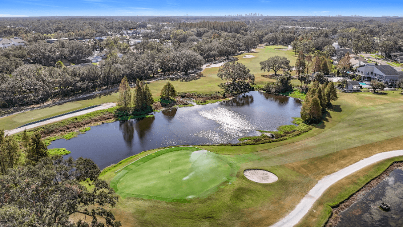 Tampa Condo: 13941 Clubhouse Dr