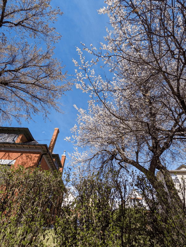 Denver Other: 2740 Decatur St